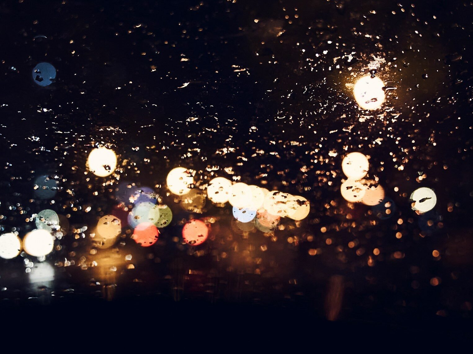 white and blue string lights during night time