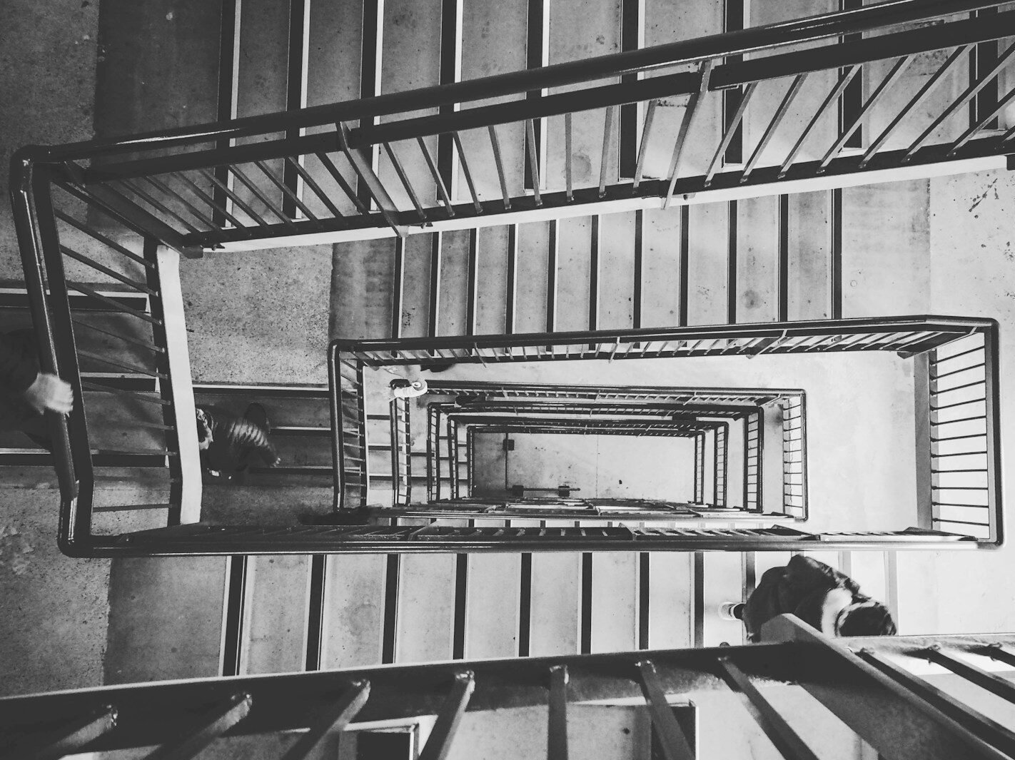 greyscale photo of staircase