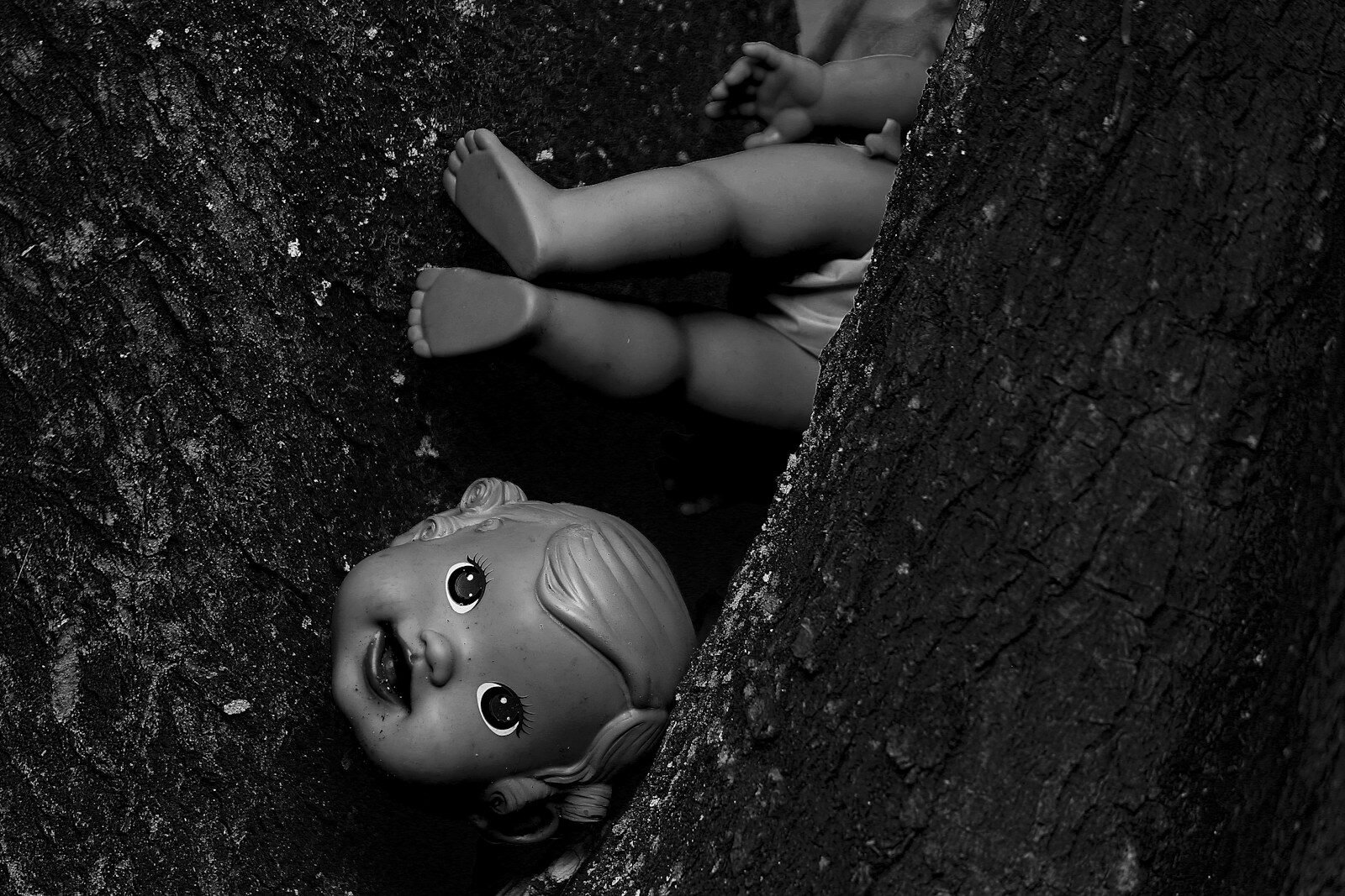 a doll is laying down in a tree